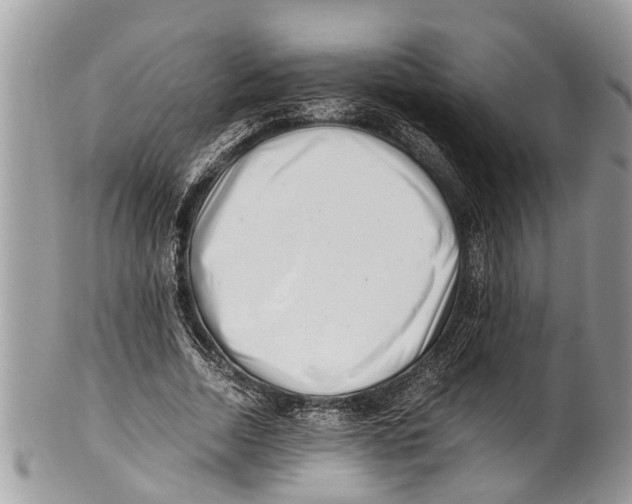 X0000101170730200807251132