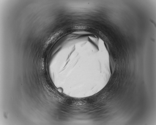 X0000101170731200807251132