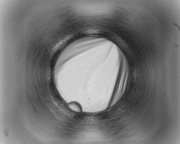 X0000101170732200807251132