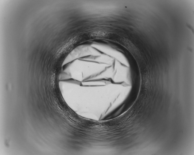 X0000101170735200807251132