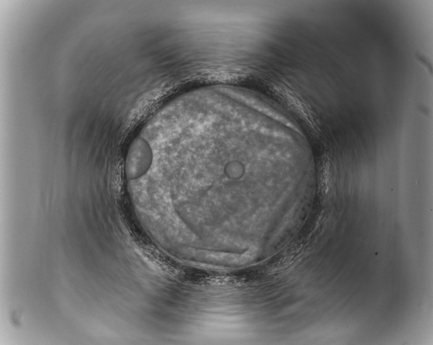 X0000101170736200807251132