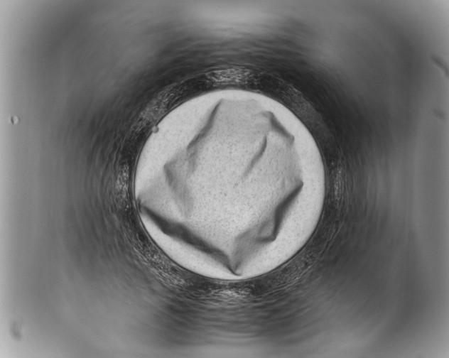 X0000101170737200807251132
