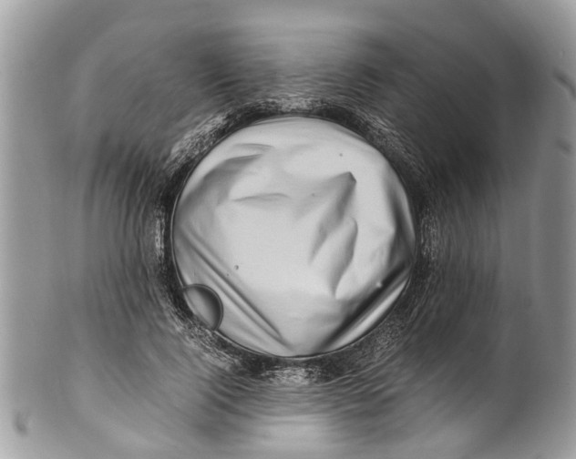 X0000101170740200807251132