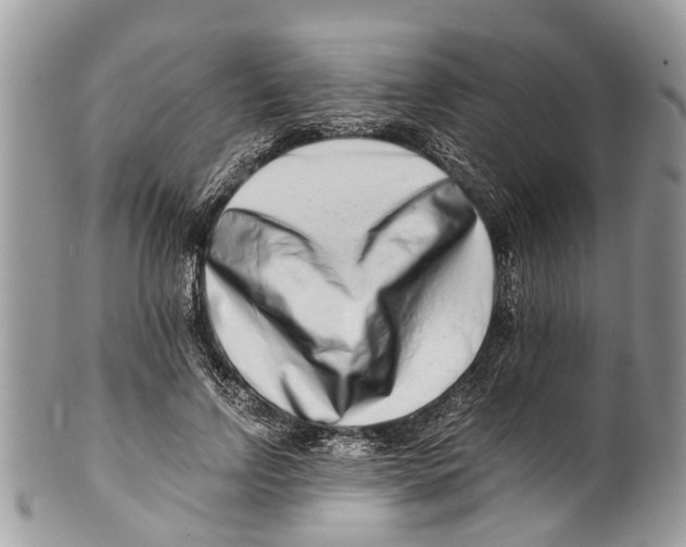 X0000101170742200807251132