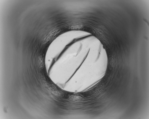 X0000101170743200807251132