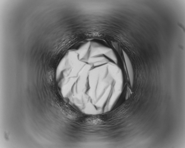 X0000101170747200807251132