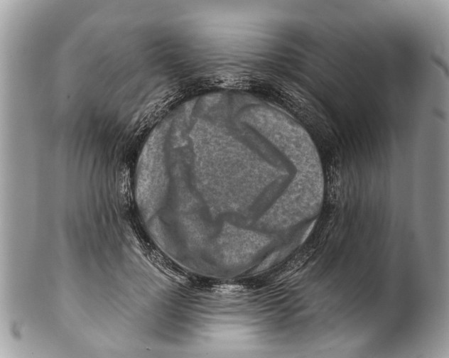 X0000101170748200807251132