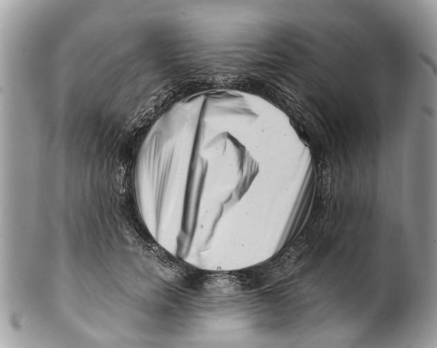 X0000101170750200807251132