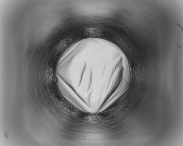 X0000101170752200807251132