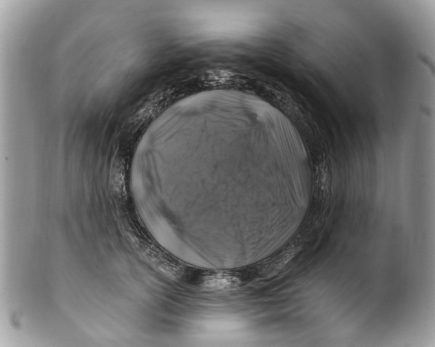X0000101170754200807251132