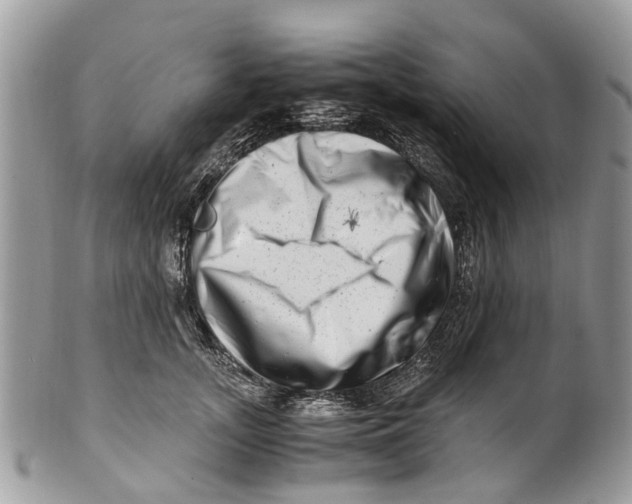 X0000101170755200807251132