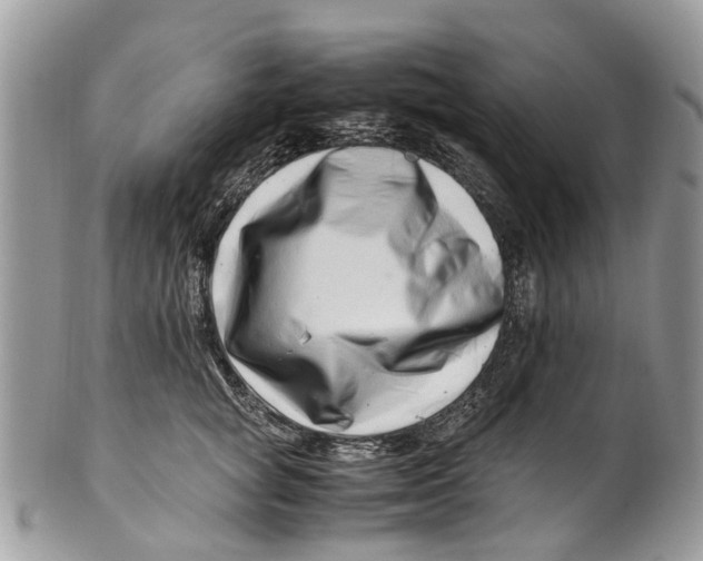 X0000101170757200807251132