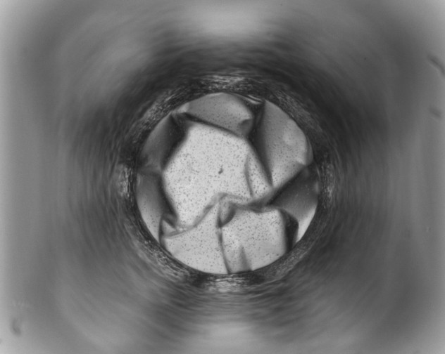 X0000101170758200807251132