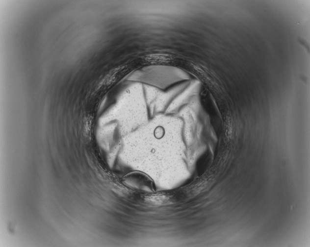 X0000101170759200807251132