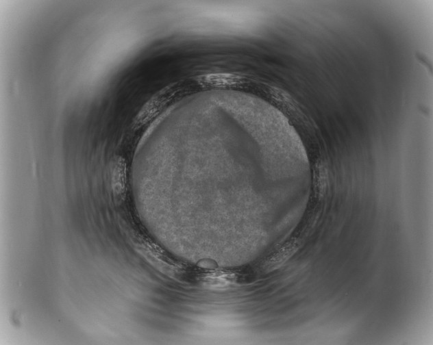 X0000101170760200807251132