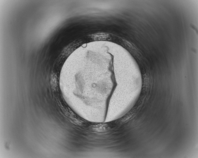 X0000101170761200807251132