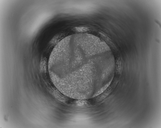X0000101170762200807251132
