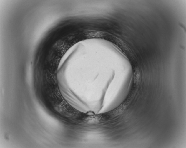 X0000101170764200807251132
