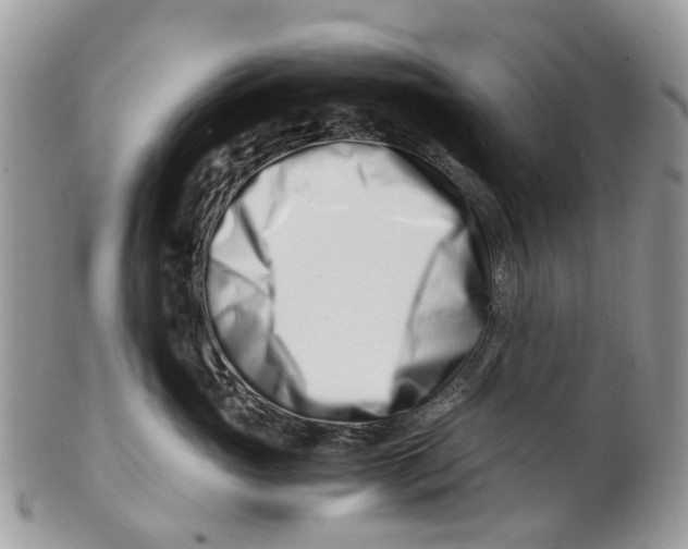X0000101170765200807251132