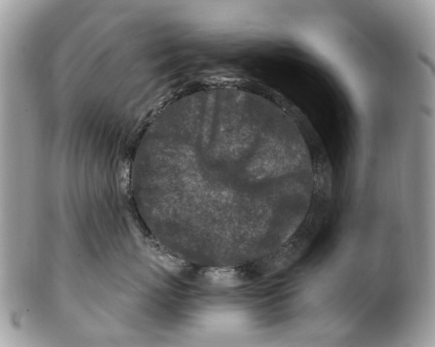 X0000101170767200807251132