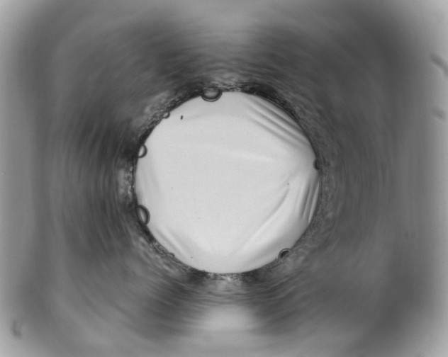 X0000101170768200807251132