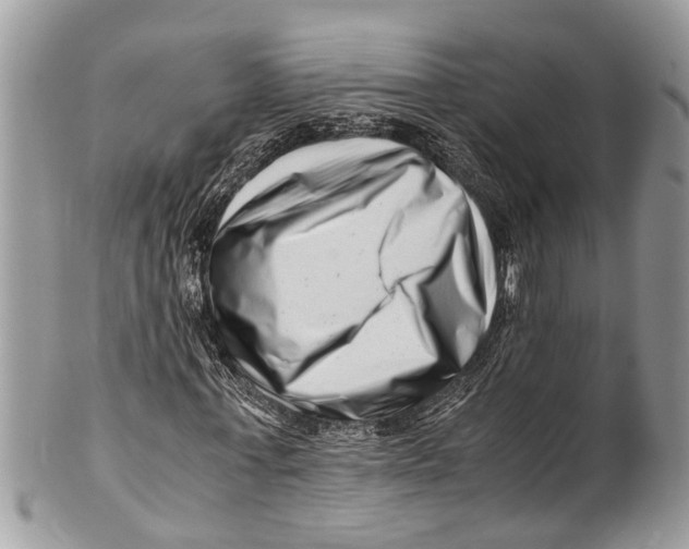 X0000101170771200807251132
