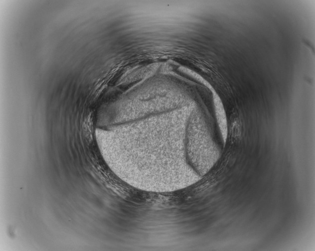 X0000101170772200807251132