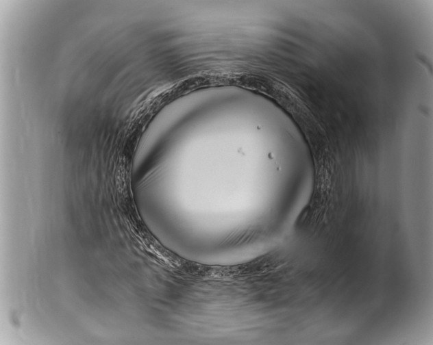 X0000101170773200807251132