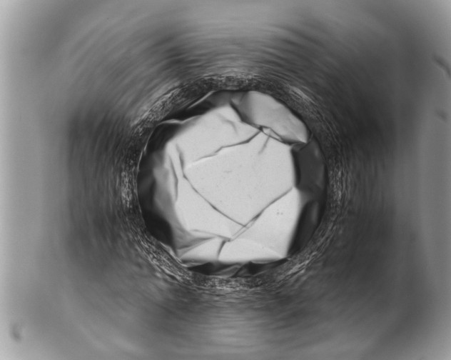 X0000101170774200807251132