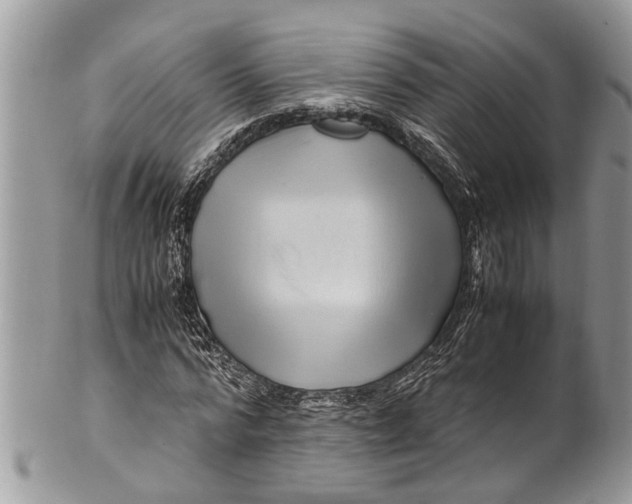 X0000101170776200807251132