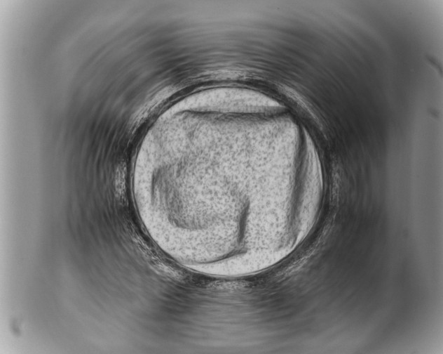 X0000101170778200807251132