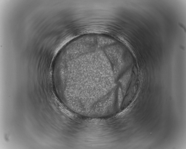 X0000101170779200807251132