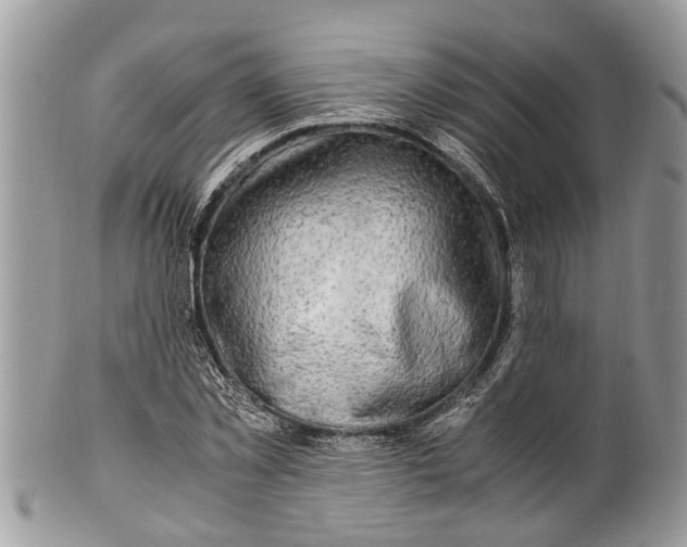 X0000101170781200807251132
