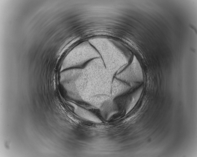 X0000101170782200807251132