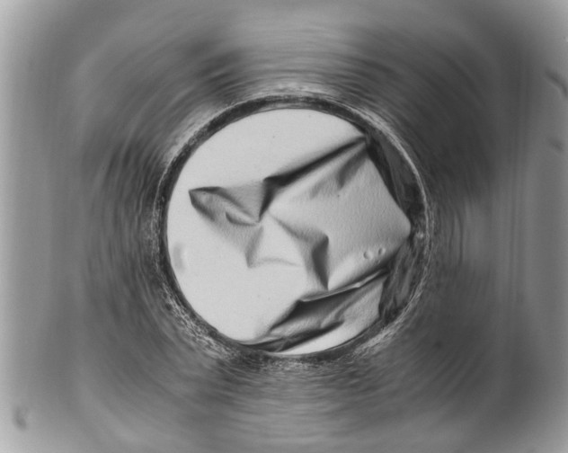 X0000101170783200807251132