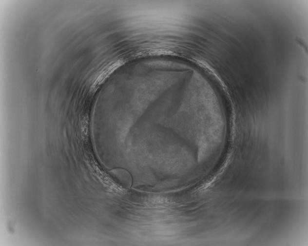 X0000101170785200807251132
