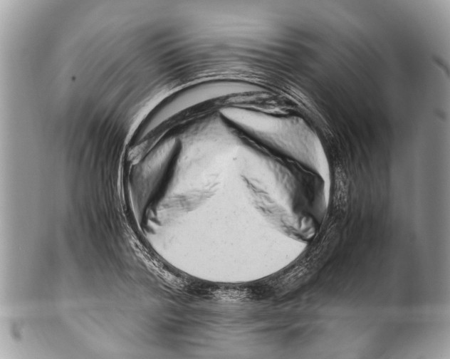 X0000101170788200807251131