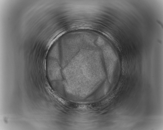 X0000101170790200807251131