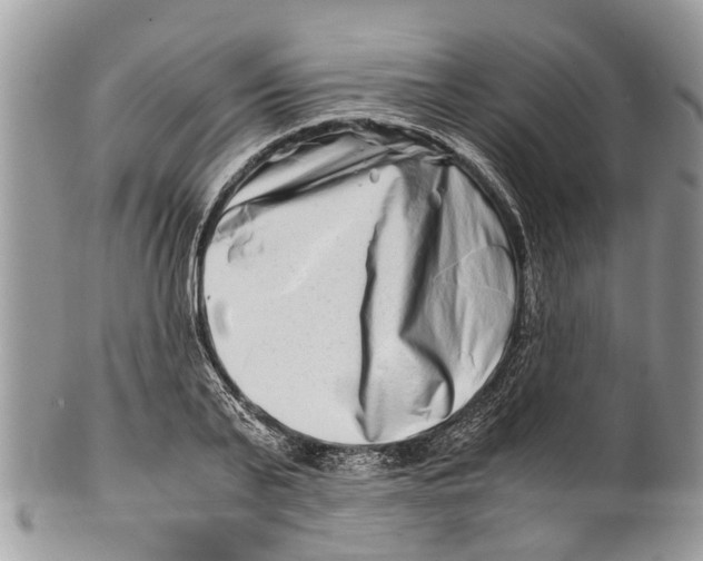 X0000101170791200807251131