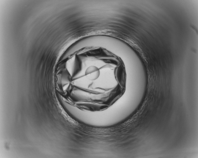 X0000101170792200807251131