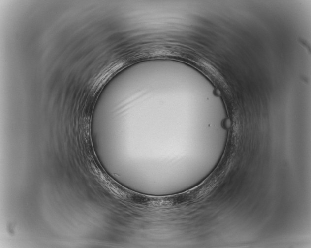 X0000101170793200807251131