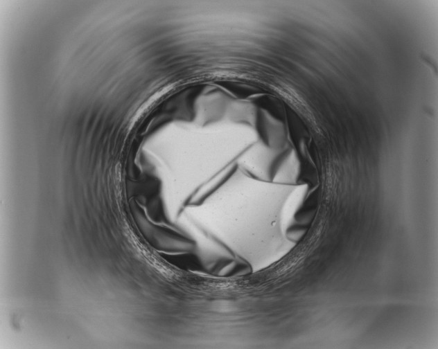 X0000101170798200807251131