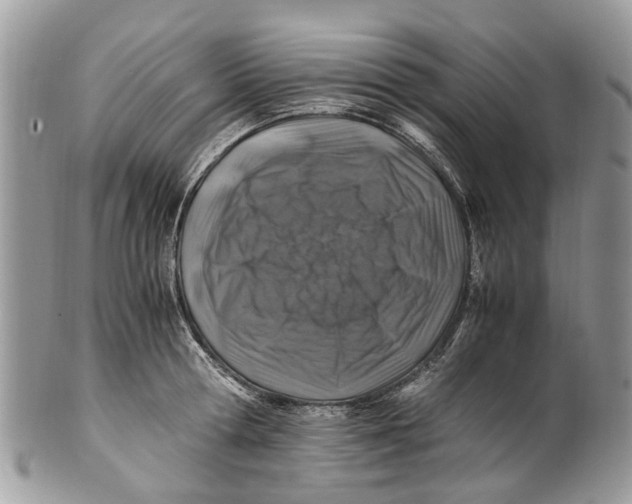 X0000101170802200807251131
