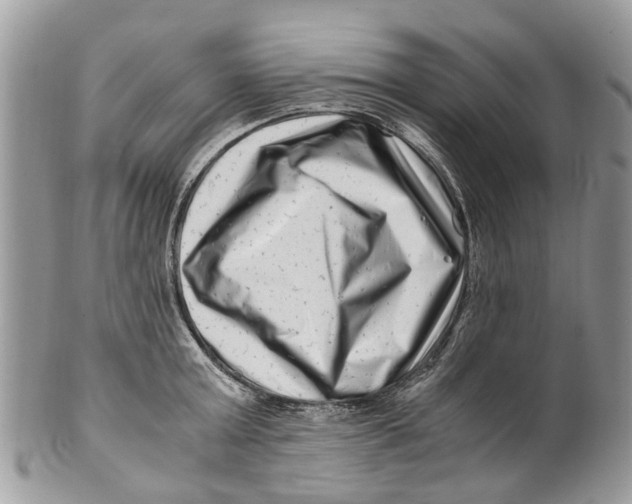 X0000101170803200807251131