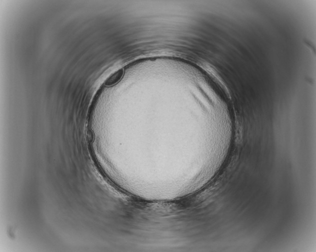 X0000101170805200807251131
