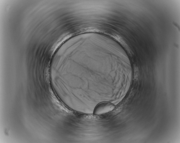 X0000101170806200807251131