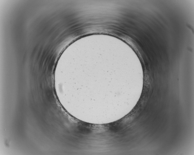 X0000101170807200807251131