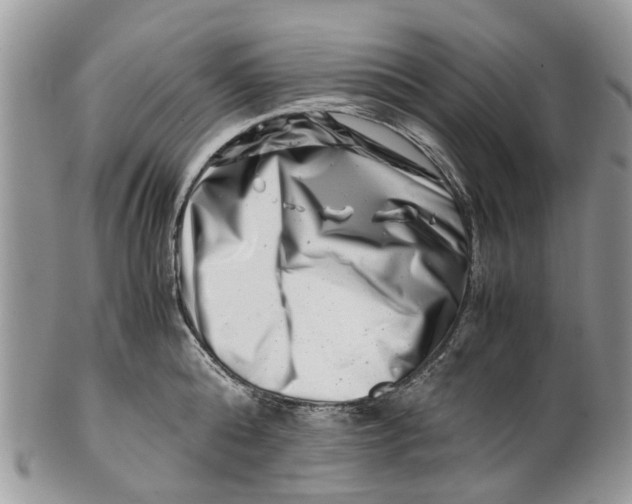 X0000101170808200807251131