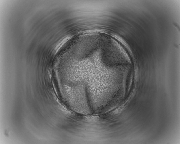 X0000101170809200807251131