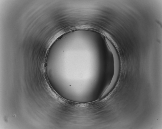 X0000101170810200807251131